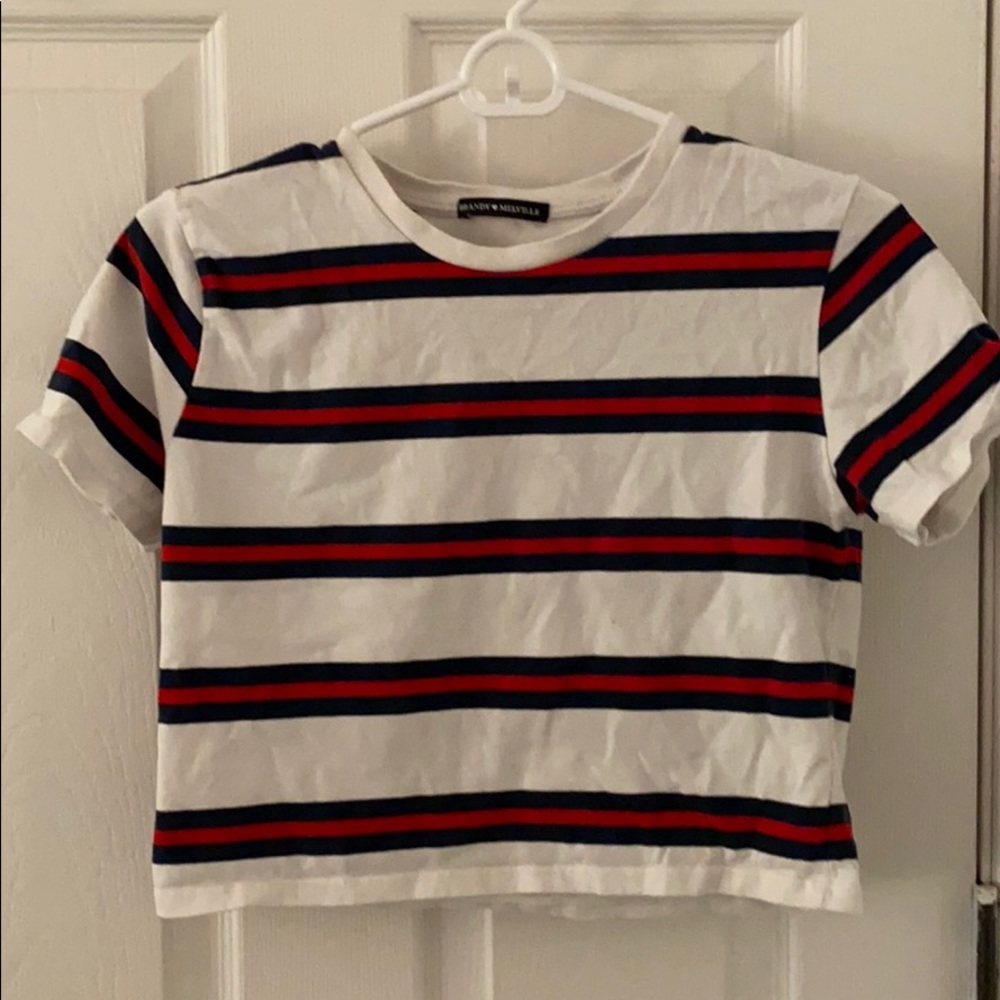 Brandy Melville crop top